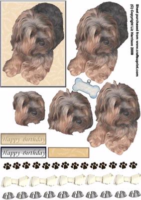 Yorkshire Terrier Dog 3D Decoupage