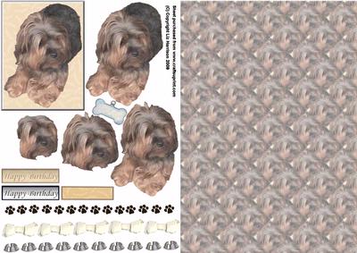Yorkshire Terrier 3D Decoupage with Background