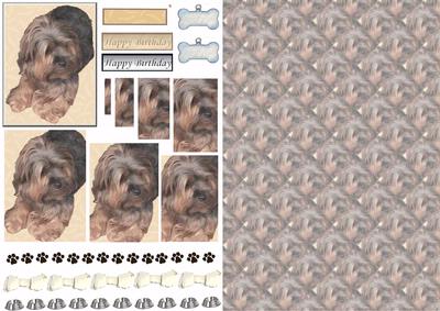 Yorkshire Terrier Pyramid with Background