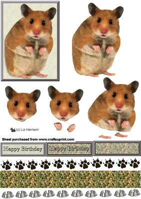 Hamster 3D Decoupage