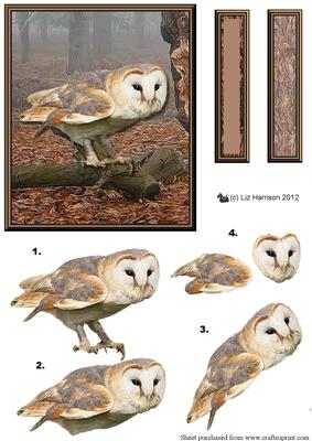 Barn Owl Woodland Scene 3D Decoupage