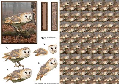Barn Owl Woodland Scene 3D Decoupage & Background