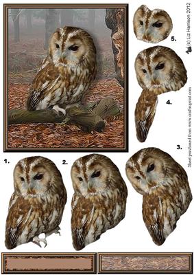 Tawny Owl Woodland Scene 3D Decoupage