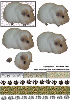 Guinea Pig1 3D Decoupage