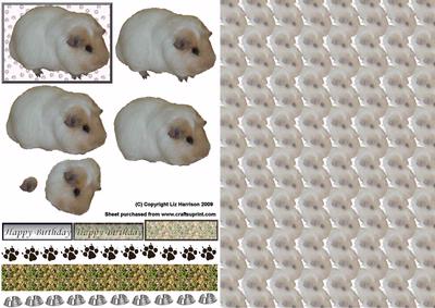 Guinea Pig1 3D Decoupage with Background