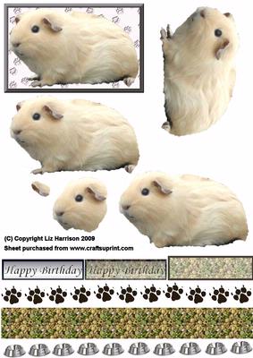 Guinea Pig2 3D Decoupage