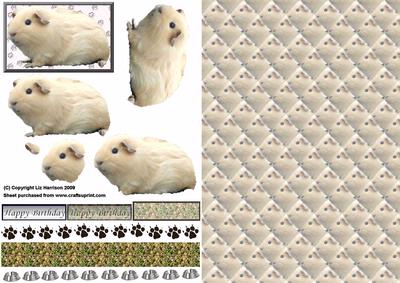 Guinea Pig2 3D Decoupage with Background