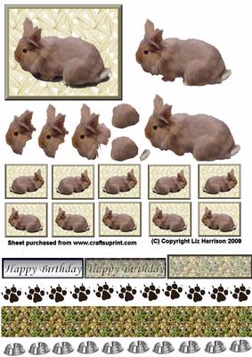 Lion Head Rabbit 3D Decoupage