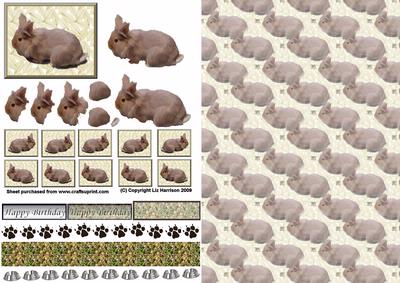 Lion Head Rabbit 3D Decoupage with Background