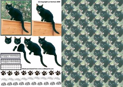 Black Cat on Fence 3D Decoupage with Background