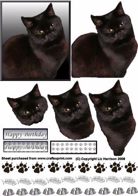 Black Cat Portrait 3D Decoupage