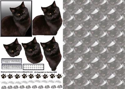 Black Cat Portrait 3D Decoupage with Background