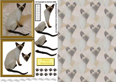 Siamese Cat 3D Decoupage with Background