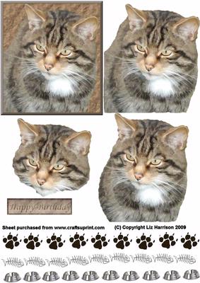 Tabby Cat Portrait 3D Decoupage
