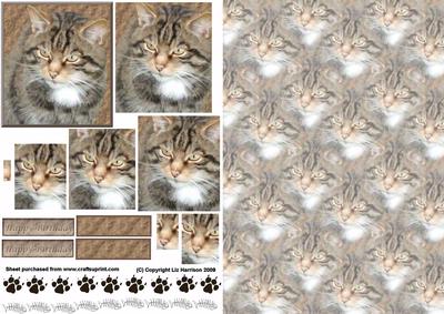 Tabby Cat Portrait Pyramid with Background