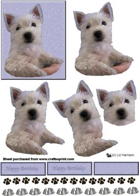 Westie Puppy in Hand 3D Decoupage