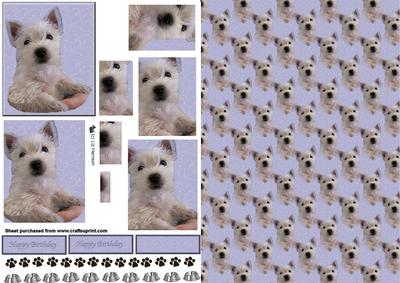 Westie Puppy in Hand Pyramid with Background