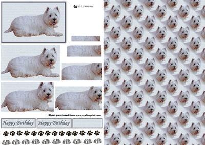 Westie Laying Down Pyramid with Background