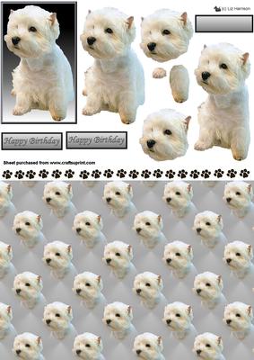Westie Sat 3D Decoupage with Background