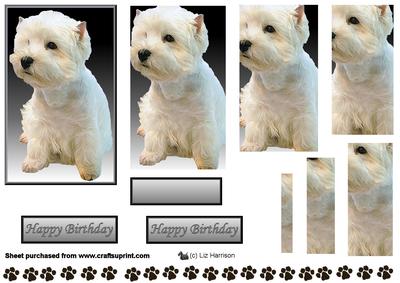 Westie Sat Pyramid