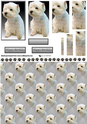 Westie Sat Pyramid with Background
