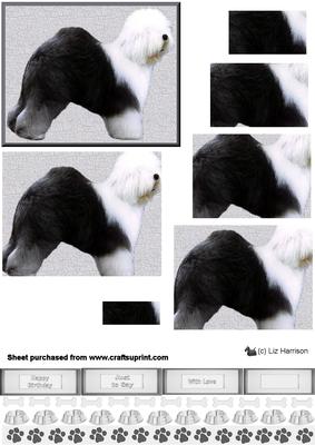 Old English Sheepdog Pyramid