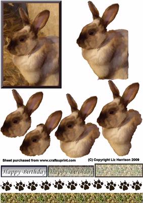 Chocolate Bunny 3D Decoupage