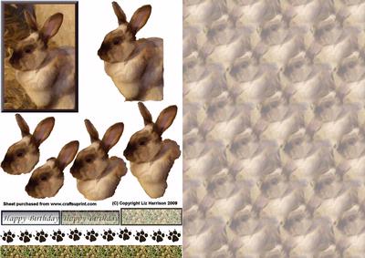 Chocolate Bunny 3D Decoupage with Background