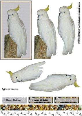 Cockatoo 3D Decoupage