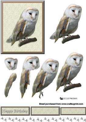 Barn Owl 3D Decoupage