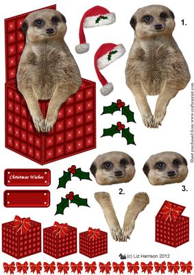 Meerkat Christmas Box 3D Decoupage