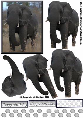 African Elephant1 3D Decoupage