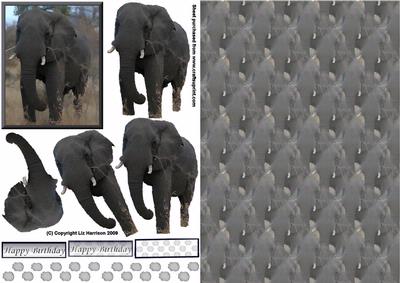 African Elephant1 3D Decoupage with Background