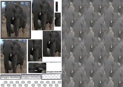 African Elephant1 Pyramid with Background