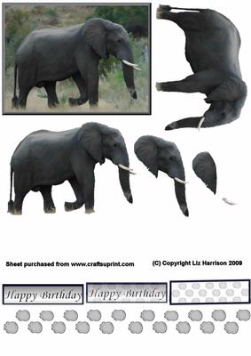 African Elephant 3D Decoupage