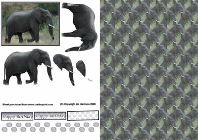 African Elephant 3D Decoupage with Background