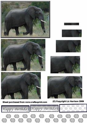 African Elephant Pyramid