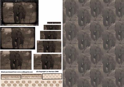 African Elephant Vintage Style Pyramid with Background