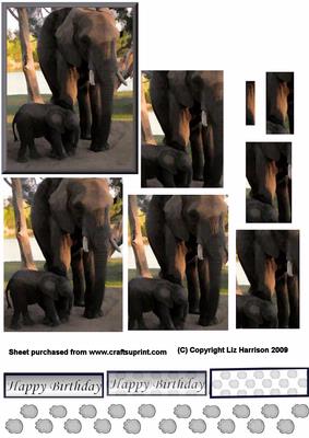African Elephant & Baby Pyramid
