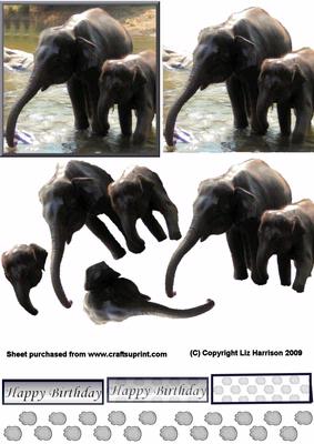 Indian Elephants Bathing 3D Decoupage