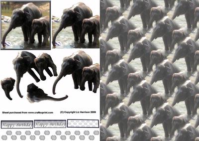 Indian Elephants Bathing 3D Decoupage with Background