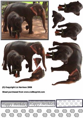 Indian Elephant & Baby Step by Step