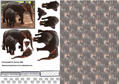 Indian Elephant & Baby 3D Decoupage with Background