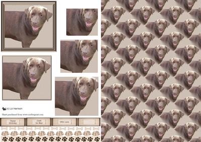 Chocolate Labrador Dog Pyramid with Background