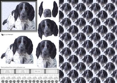Cocker Spaniel Blue Roan 3D Decoupage with Background