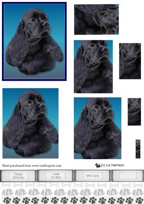 American Cocker Black Spaniel Pyramid