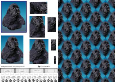 American Cocker Black Spaniel Pyramid with Background