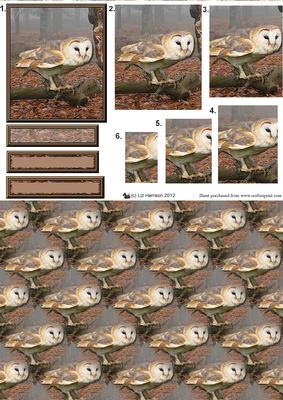 Barn Owl Woodland Scene Pyramid with Background