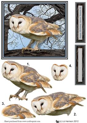 Barn Owl Tree Scene 3D Decoupage