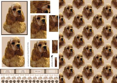 American Cocker Golden Spaniel Pyramid with Background